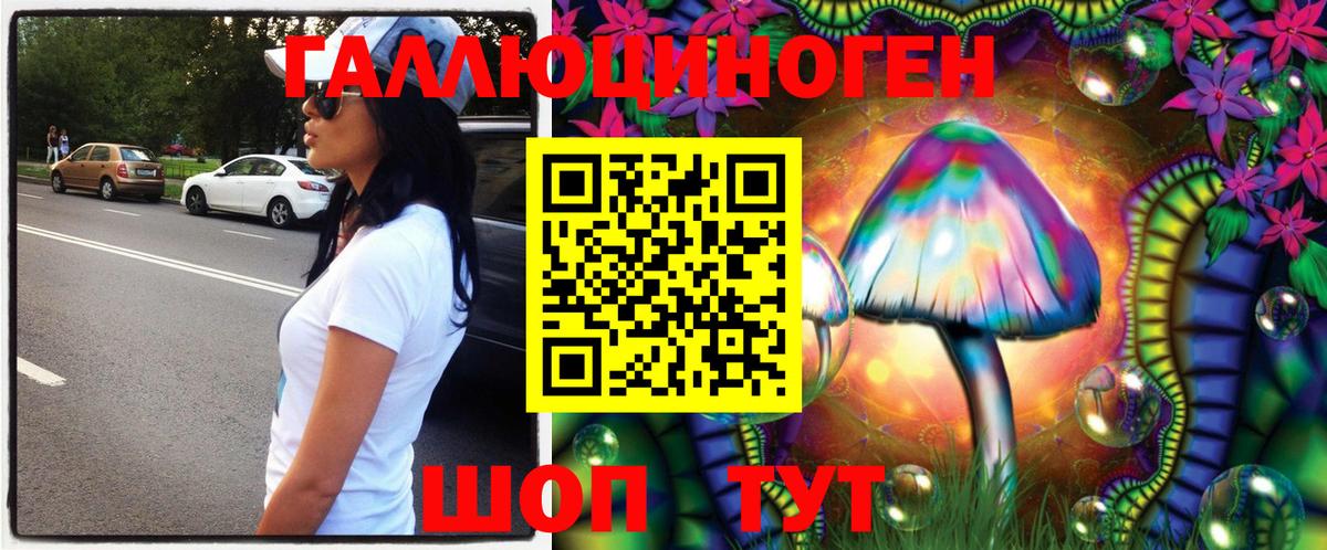 Галлюциногенные грибы Psilocybe  Вход с VPN  Белогорск 