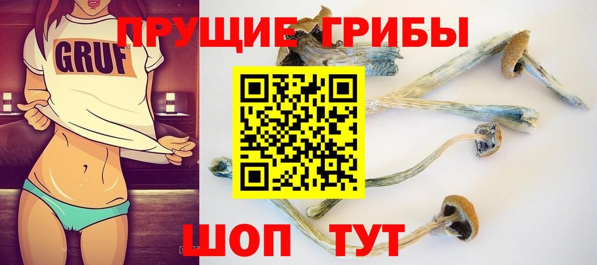 Галлюциногенные грибы ЛСД Белогорск